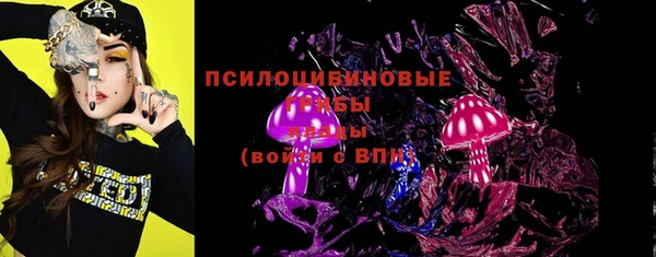 ПСИЛОЦИБИНОВЫЕ ГРИБЫ Бугульма